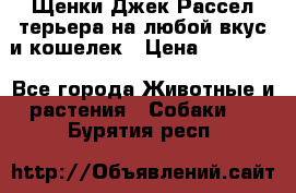 Щенки Джек Рассел терьера на любой вкус и кошелек › Цена ­ 13 000 - Все города Животные и растения » Собаки   . Бурятия респ.